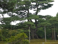 バイク旅(兼六園)