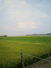 バイク旅(鉄橋)