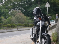 バイク旅(出雲大社)