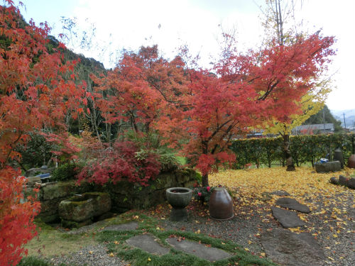 自宅紅葉3