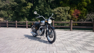 メグロお披露目2