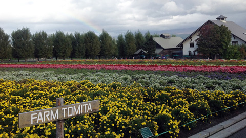 farmtomita2