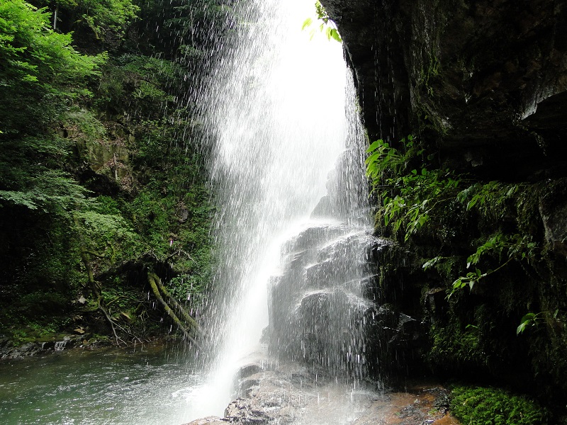 邑南町 赤馬の滝