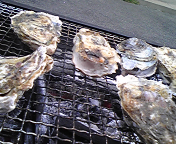 101212_150946.jpg
