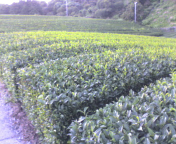20110910175926.jpg