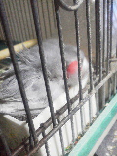 2015013117370000.jpg
