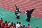 スタジアム