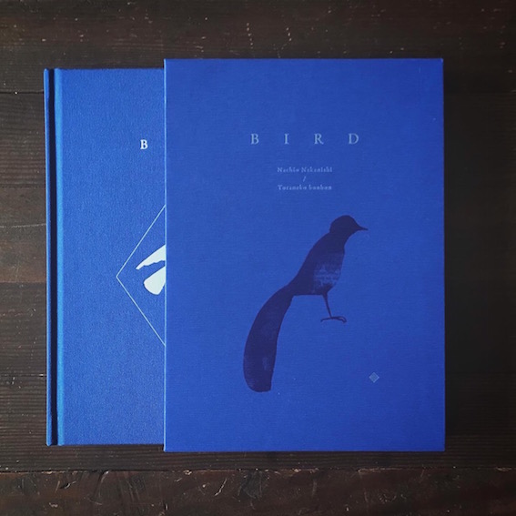 BIRD / トラネコボンボン（中西なちお） ON READING Online Shop