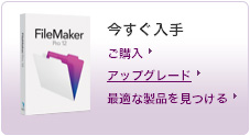 filemaker12 2