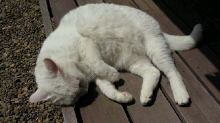 2011042413520000.jpg