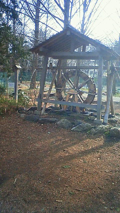 201103271548000.jpg