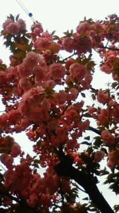 201204191344000.jpg