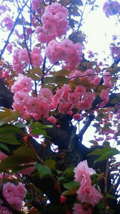 201204191342002.jpg