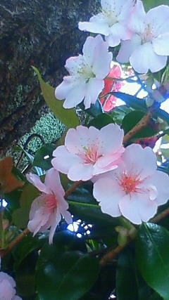 201204171148002.jpg