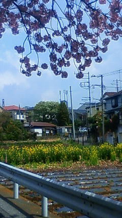 201204171148000.jpg