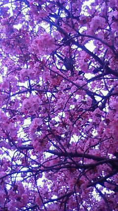 201204161711001.jpg