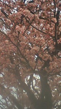 201204161010000.jpg