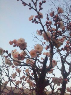 130304_171114.jpg