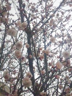 130304_105912.jpg