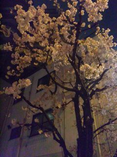 150401_215031.jpg