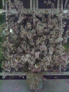 150406_203433.jpg