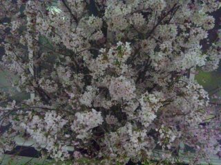 150406_203445.jpg