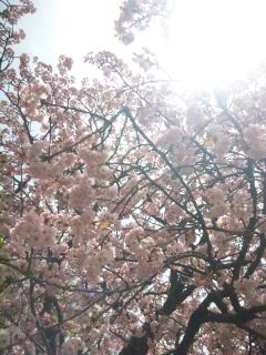 150409_112852.jpg