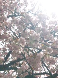 150409_112903.jpg