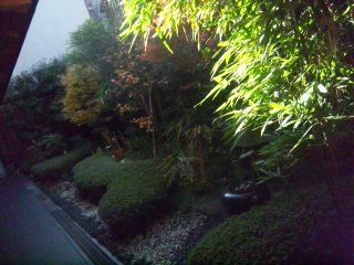 151207_133014.jpg