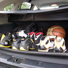 His sole collection