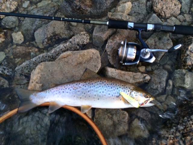 20150523y02.JPG