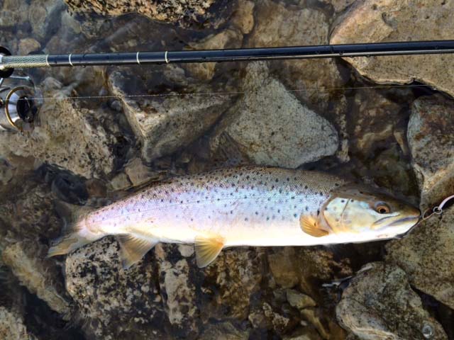 20150523y03.JPG