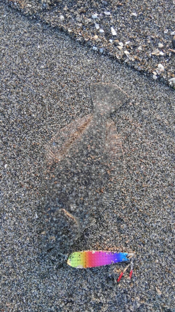 20180501_7530.jpg