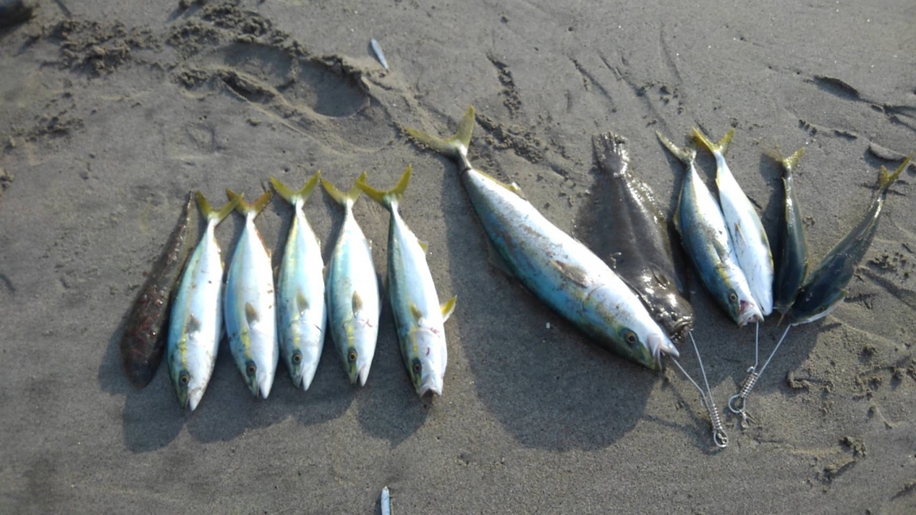 20191215_コーシャ_本日の釣果+同僚釣果集合写真