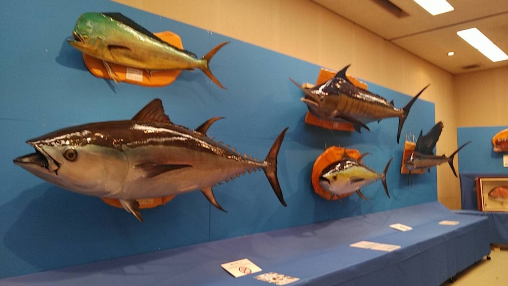 20220725_コーシャ_長野県安曇野市 魚魚展 08