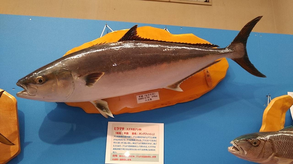 20220725_コーシャ_長野県安曇野市 魚魚展 24