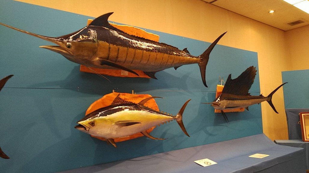 20220725_コーシャ_長野県安曇野市 魚魚展 27