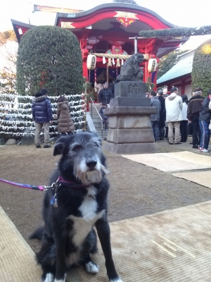 初詣@森浅間神社