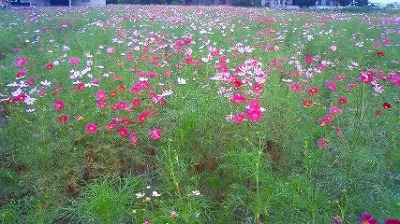 20110917