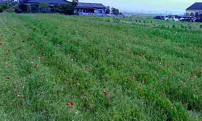 20120507