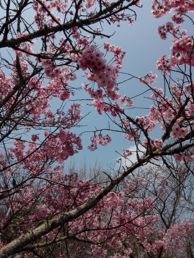 20190327
