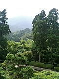 景色