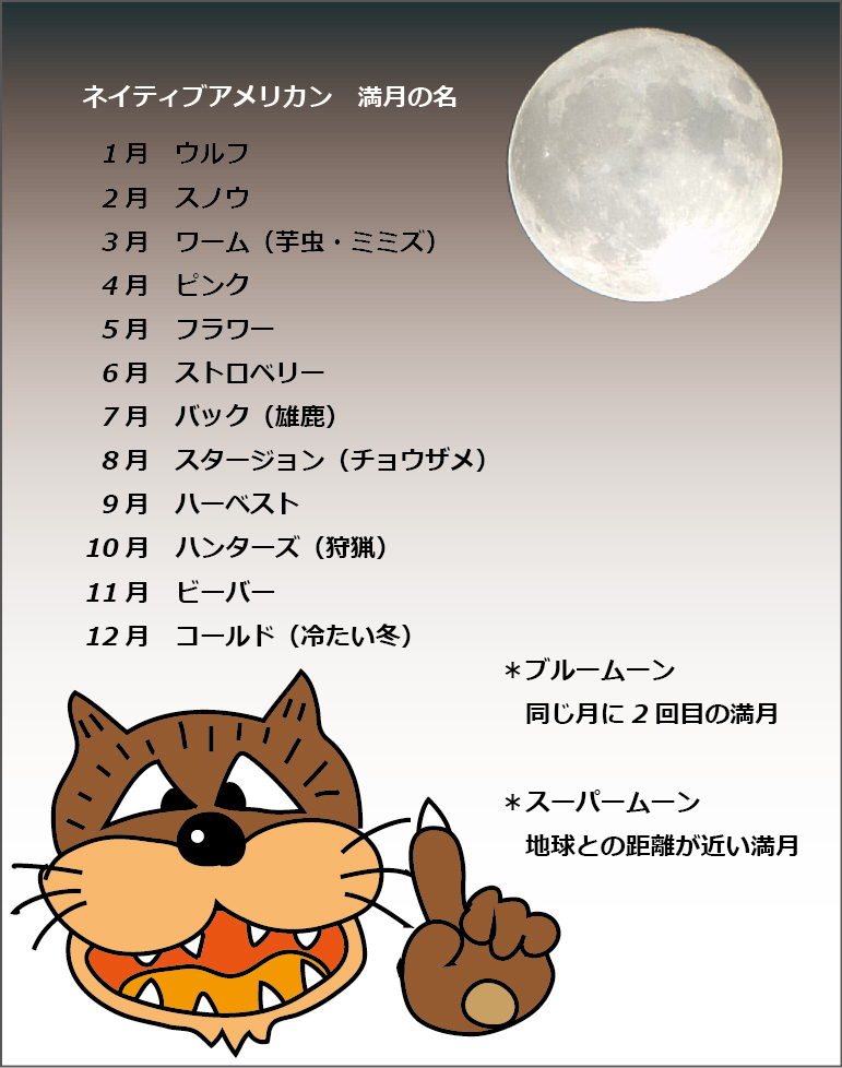満月のまとめ | 青ヤギさんからの手紙