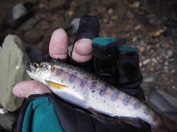 2007初釣行7