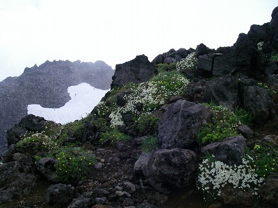 20090704_04