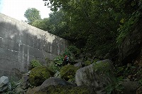 shinyu_07