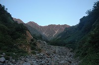 shinyu_11