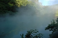 shinyu_13