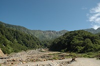 shinyu_17