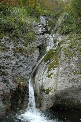 maya_05